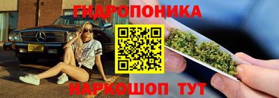 стафф Лесосибирск