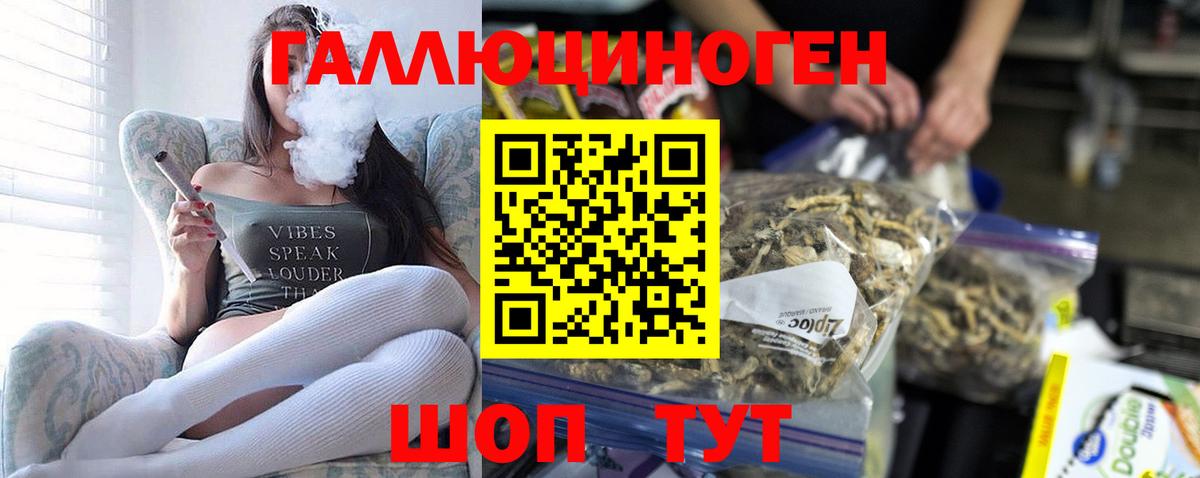 Галлюциногенные грибы Psilocybe  Вход с VPN  Ефремов 
